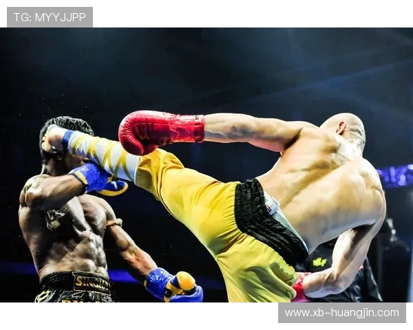 播求与一龙巅峰对决直播：见证世纪大战的精彩瞬间